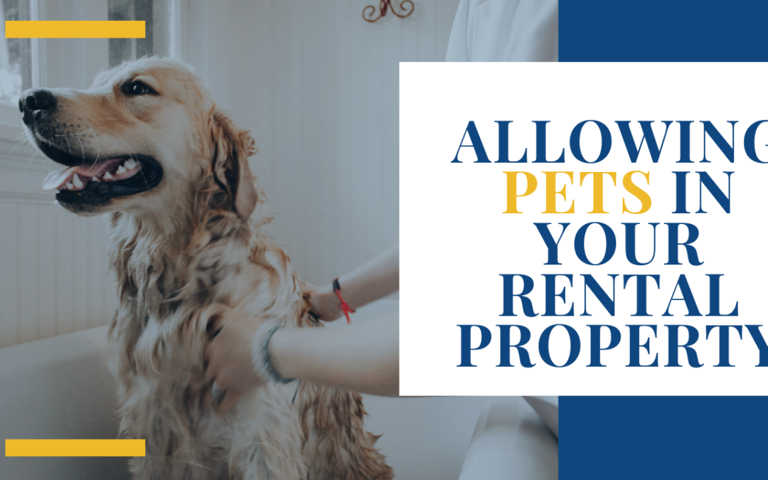 Allowing Pets in Your Rental Property | Denver Landlord Advice